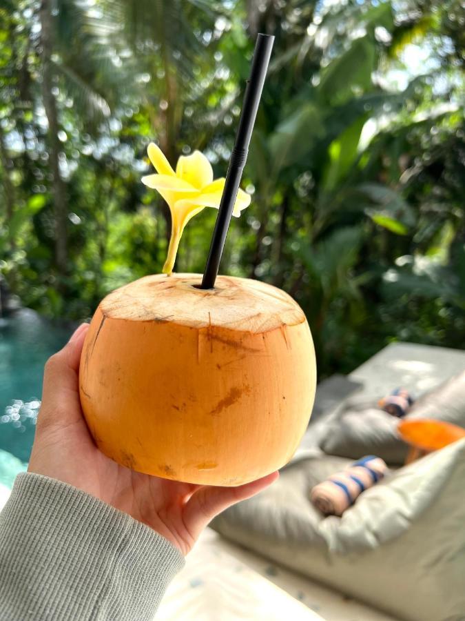 Nirankara Ubud Villa Eksteriør billede